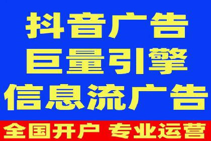某电商平台的SEM运营实战与效果分析